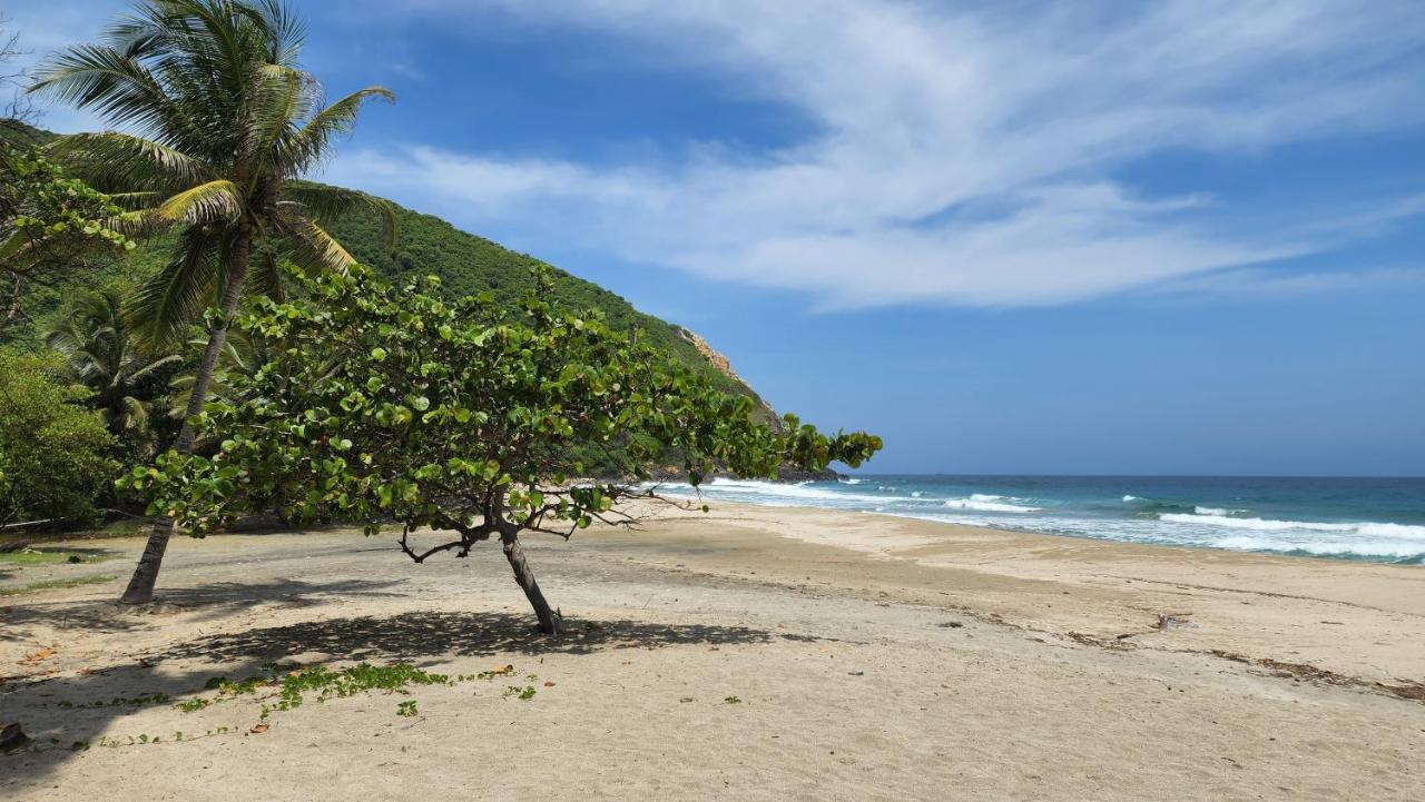 Ecolodge Playa Brava Teyumakke Calabazo  Eksteriør bilde
