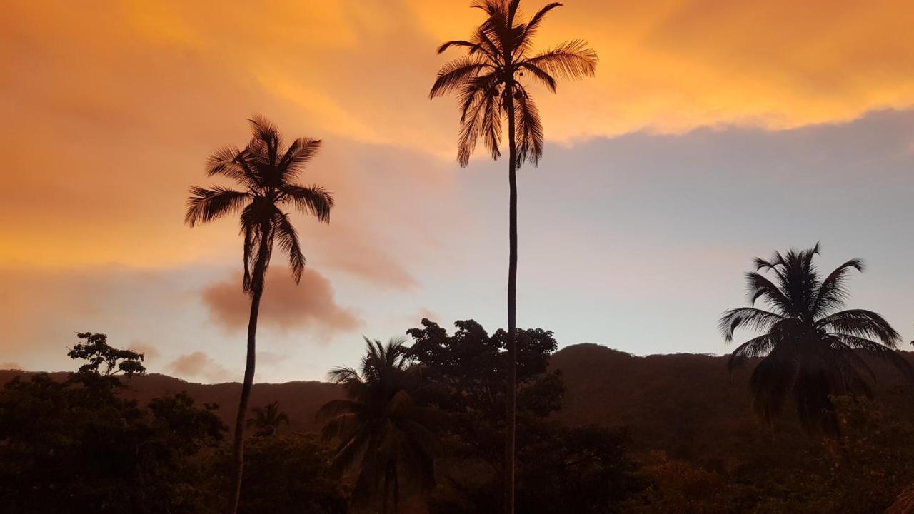 Ecolodge Playa Brava Teyumakke Calabazo  Eksteriør bilde